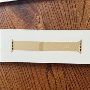 45 mm Apple Gold Mesh Watch Band